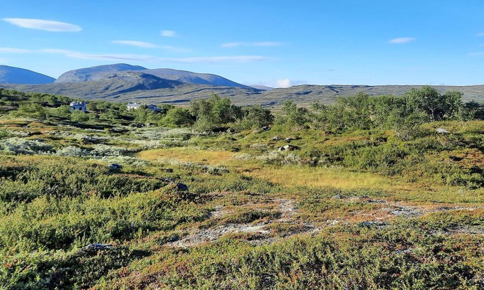 Svenstavik Casa | 3 person holiday home in Svenstavik