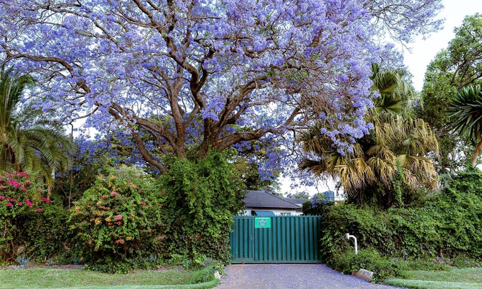Harare Casa | 3BR Vacation Home Amidst Lush Garden. Perfect for family.