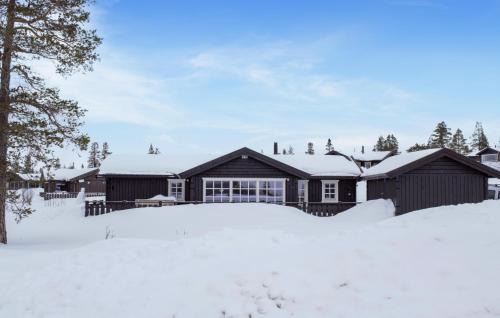 Engerdal Casa | 4 Bedroom Nice Home In Engerdal