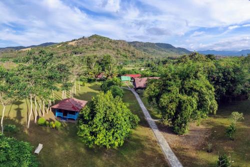 East Manggarai Cama Y Desayuno | 4 Pohon - Les 4 Arbres