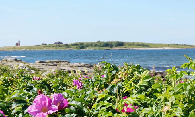 Halmstad Casa | 4 star holiday home in Halmstad