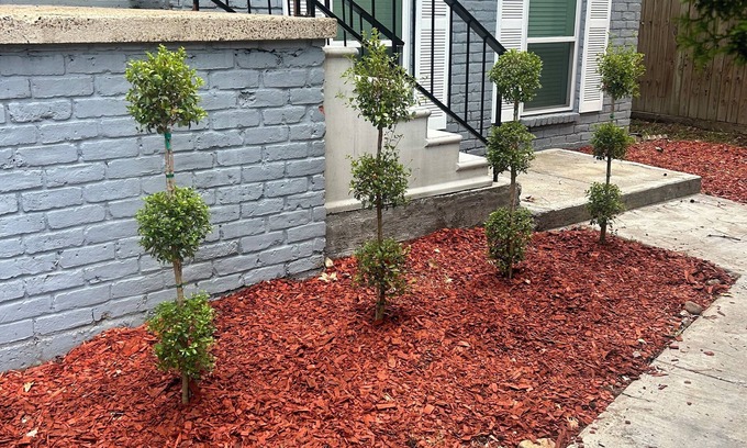Grogan's Mill Casa | 4bedroom house with upstairs outdoor patio,WiFi and in peaceful Woodlands area.