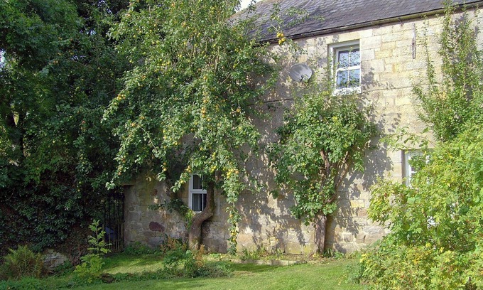 Byrness Cabaña | Alojamiento de 5 habitaciones en Byrness Village, near Otterburn