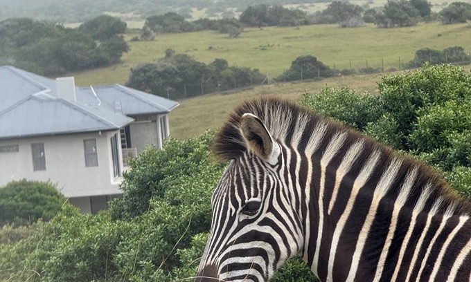 Kenton on Sea Casa | 5 Bedroom Imbabala Eco-Lodge nestled in a peaceful estate with stunning views