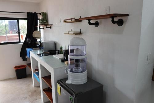 Del Carmen Apartamento | 5 minutos de la casa Azul I Departamento Coyoacán
