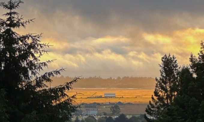 Arcata Casa | 55% Discount 🌅 Ocean View w Firepit & Redwoods 🌲 Near HSU 🐕👍