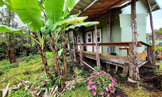 Fern Forest Cabina | #5Cabin w/ PRIVATE indoor BATHROOM TV MICROWAVE