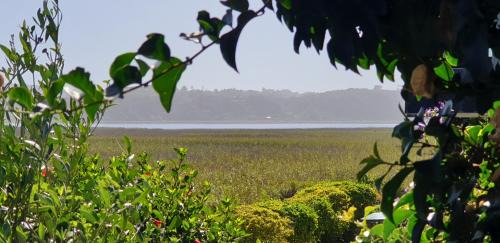 Wilderness Apartamento | 677 on Lake