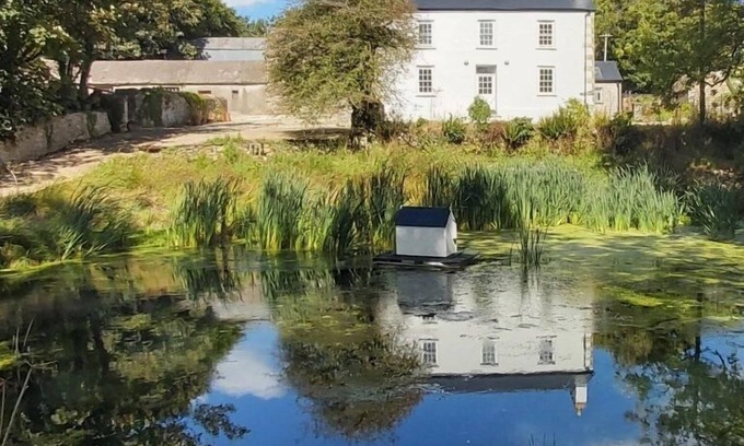 Castlemorris Otro | A beautifully restored Welsh farmhouse nestled in the Pembrokeshire countryside close to the coast