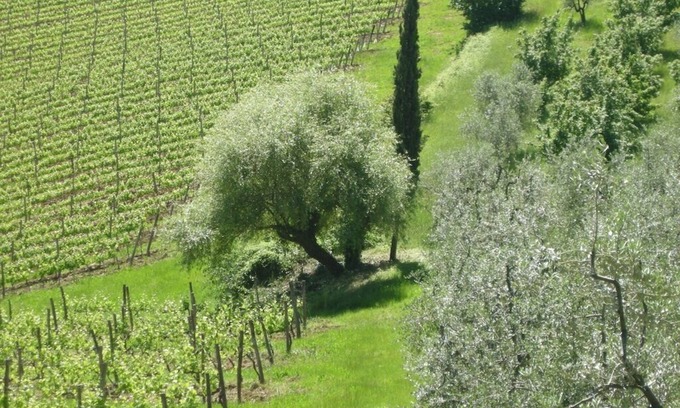 San Casciano in Val di Pesa Cabaña | Una acogedora Villa Toscana, con impresionantes vistas sobre el Chianti Hills Cerca de Florencia