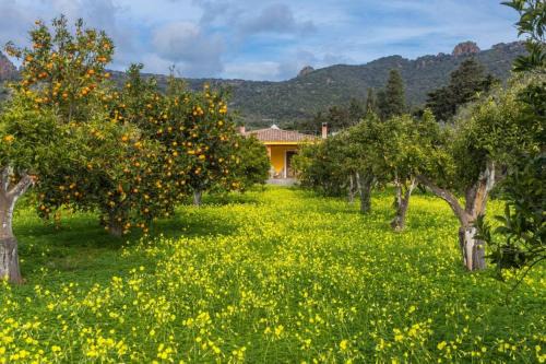 Bosa Casa | A charming country cottage + bikes and kayaks
