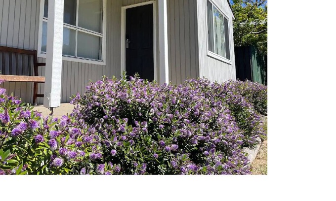 Eildon Casa | A cosy and quiet retreat, walking distance to town and Eildon pondage.