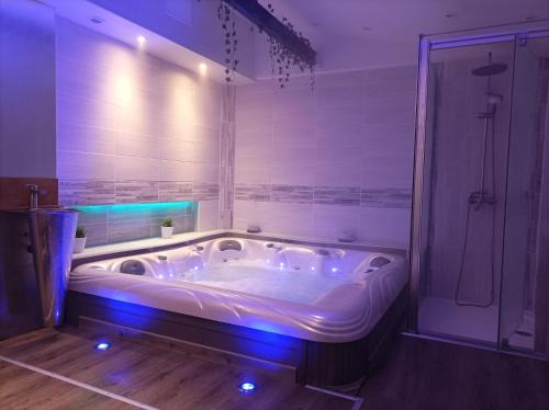 Epinal Apartamento | A l'ombre du Lilas - avec Spa privatif en supplément
