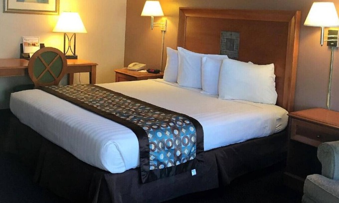 North Loop Casa | A Lovely Suite W/ Outdoor Swimming Pool
