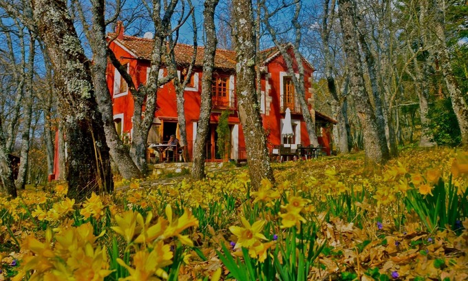 Collado Hermoso Cabaña | Una casa mágica en el corazón del parque de Guadarrama