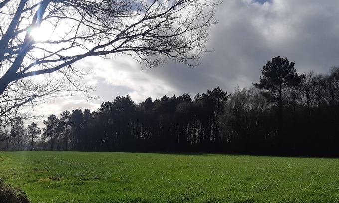 Mos Casa | La Casa del Tío Antonio, en Galicia. Un refugio entre arboles. Acepta mascotas