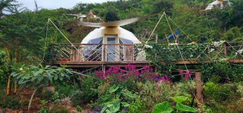 Lake Manyara National Park Otro | A Nomad's Rest Lodge