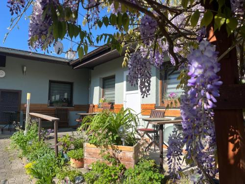 Plzen Casa | A+R Pension