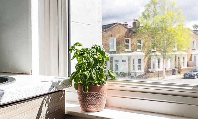 Brixton Apartamento | A Tranquil One-Bedroom Flat near Brockwell Park