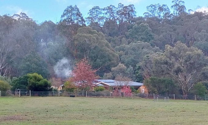 Yarra Glen Otro | Above the Mist Dexters. Spacious comfortable home on 12 acres.