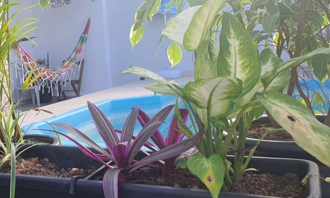 Jardim Imperador Casa | Accommodates 6p - Air, Wifi and Pool