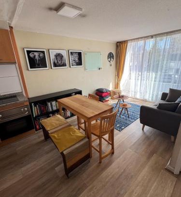 Providencia Apartamento | Acogedor, luminoso e insuperable ubicación