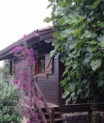 Campo Lameiro Casa | Acogedora cabaña con piscina