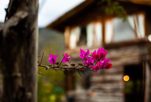 Villa de Leyva Casa | "Acogedora Cabaña Ojo de Agua en Villa de Leyva -Vistas Increíbles de las Montañas Iguaque!