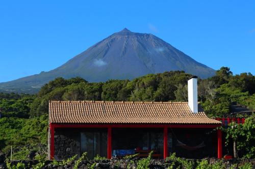 Sao Roque do Pico Chalet De Esquí | Adega Fraga