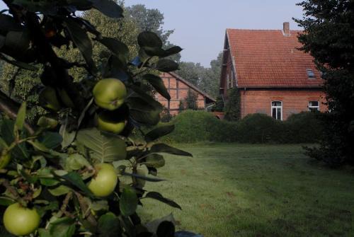 Hilgermissen Casa | Adelheidshof