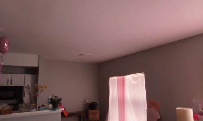 Overland Park Apartamento | Adorable 1-bedroom apartment adorable