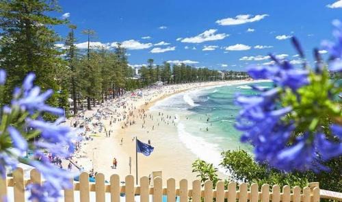 Manly Vale Apartamento | Affordable Luxury Stay Near Manly Beach