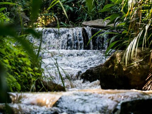 Pietermaritzburg Casa | Africa's Eden Guesthouse