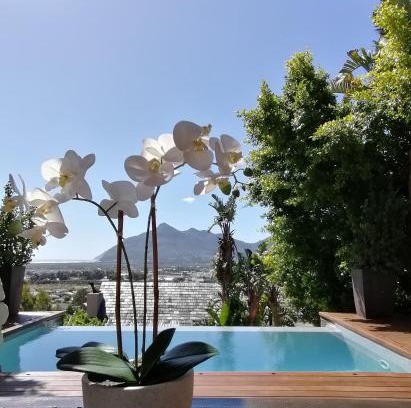 Capri Apartamento | African Violet - Terraces