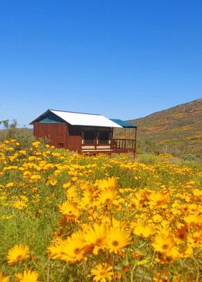 Kamiesberg Otro | Agama Tented Camp