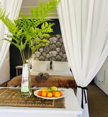 Elgin Casa | Agapanthus garden cottage