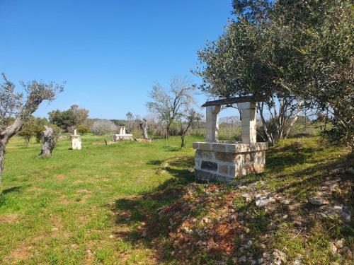 Alezio Otro | Agricampeggio Tenuta Ferrario