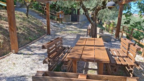 San Mauro Cilento Casa | Agricoltura Rascio