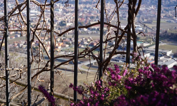 Isera Otro | Agritur Maso Carpené