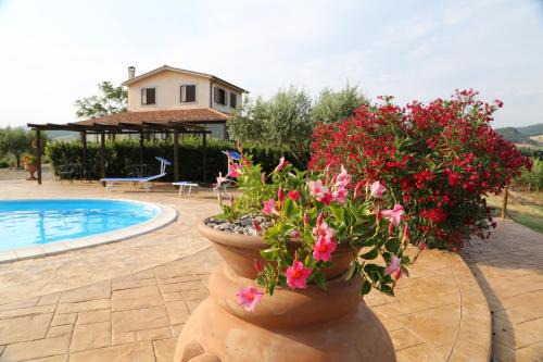 Cerveteri Casa | Agriturismo Casale Sasso