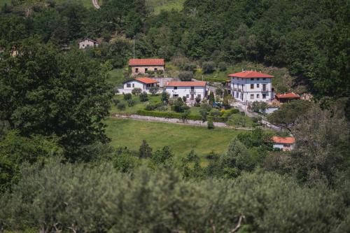 Rivello Apartamento | Agriturismo La Valle degli Ulivi