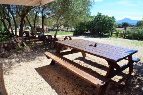 Dorgali Cama Y Desayuno | Agriturismo Pira Pinta