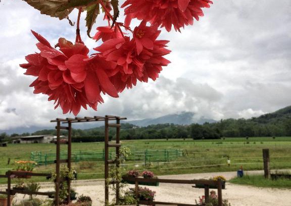 Buia Casa | Agriturismo San Floreano