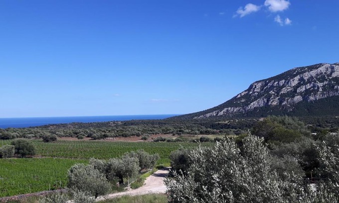Dorgali Casa | Agriturismo Su Barcu