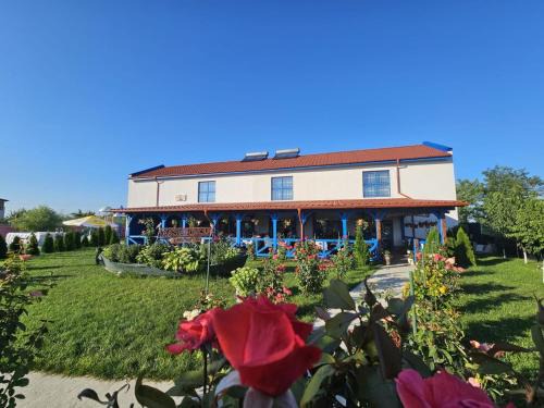 Murighiol Casa | Agropensiuea Casa Uncu