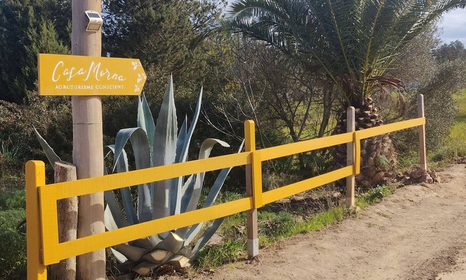 Sant Carles de Peralta Cabaña | Agroturismo Casa Morna Ibiza SUITE EL ALGARROBO