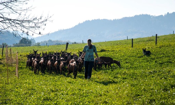 Roznov Pod Radhostem Apartamento | Agroturistika kozí farma Rožnov pod Radhoštěm