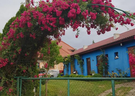 Kolczewo Apartamento | Agroturystyka Jagoda