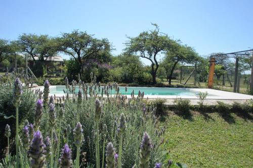 Chajari Casa | "AGUAPÉ" Alojamiento rural con PILETA