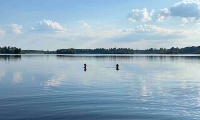 Agunnaryd Cabaña | Agundaborg Lake Cottage